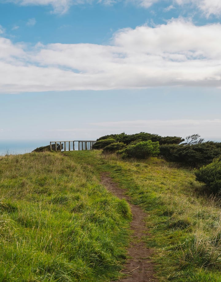 Lush and green Te Toto Gorge Lookout in Raglan New Zealand