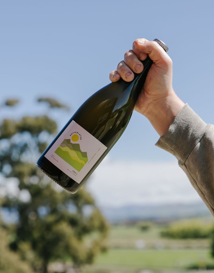 A hand holding a bottle of wine in the air on a sunny day.