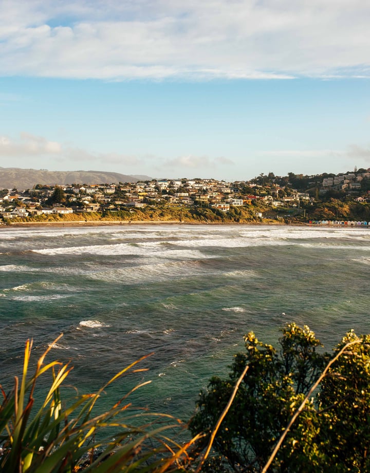 Titahi Bay waves lap against the shoreline.