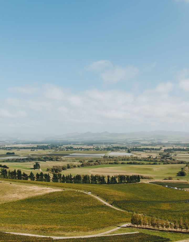 A view of the Canterbury plains on a sunny day.