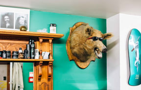 Boar head on a wall above a barber chair.