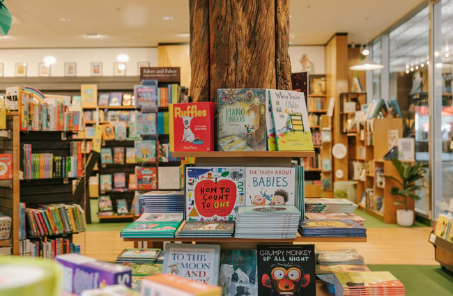 Picture books under the tree trunk at Telling Tales, Christchurch.