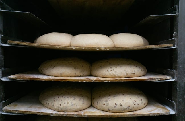 A close up of sourdough loaves resting before being baked in the Bellbird Bakery kitchen in Christchurch.