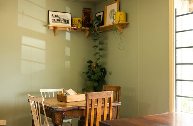 Retro and mismatched wooden table and chairs in a sunny corner of Okere Falls Store with green vines hanging down from pot plants on a wall shelf behind.