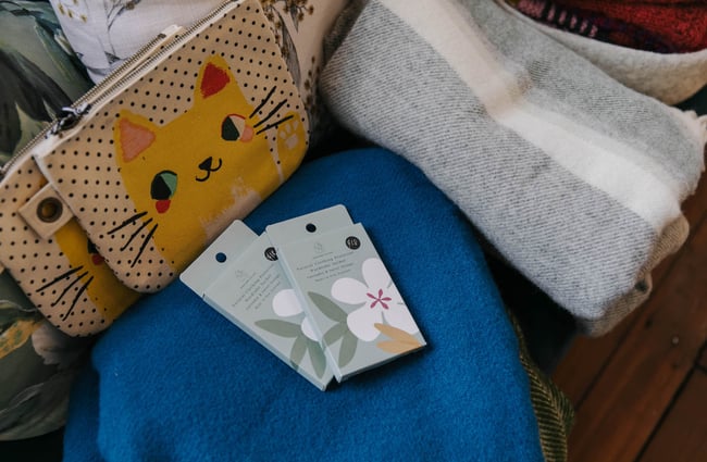 Close up of cat pencil case and scarves.
