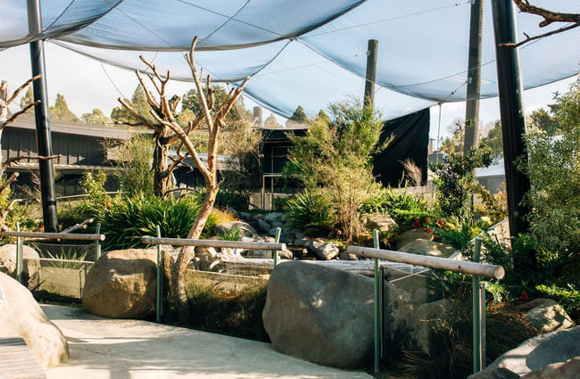 The area for rescued birds with big rocks and green trees.