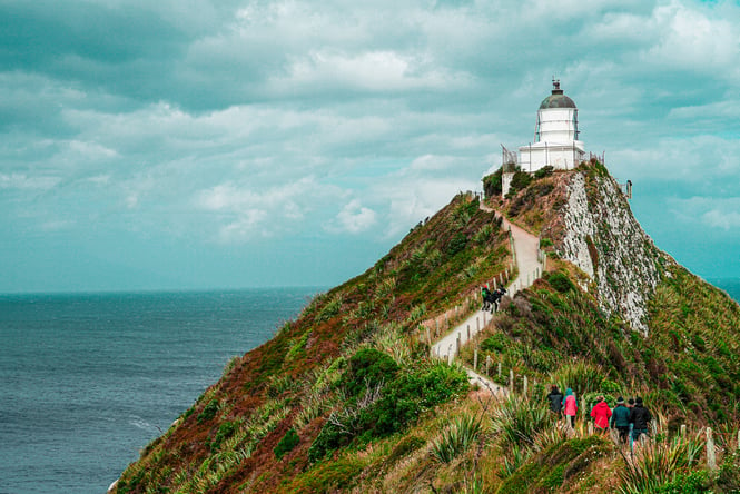 Nugget Point Lighthouse by Advocator SY.