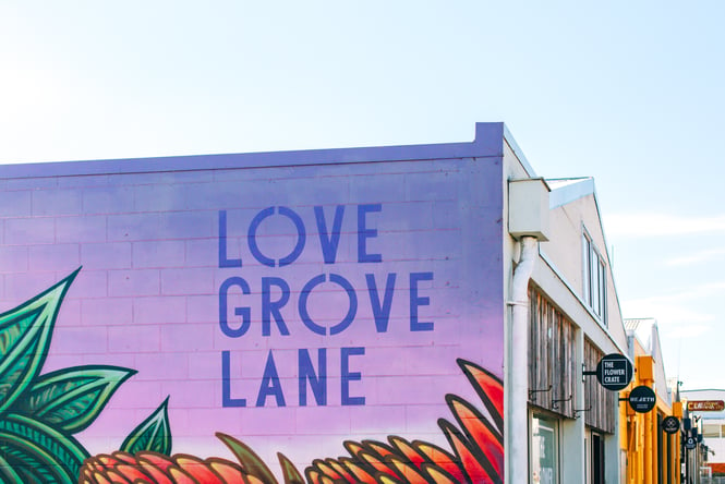 Lovegrove Lane mural painted on the side of warehouse in Hamilton.