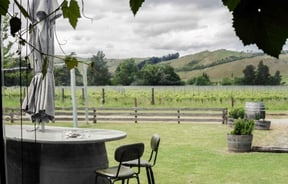 Outdoor dining area looking onto the vineyards at Greystone Wines, North Canterbury.