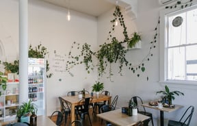 The interior of the Tees St cafe with plants hanging from shelves and the celling.