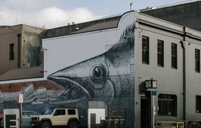 Fish graffiti on the side of Vogel Street Kitchen, Dunedin.