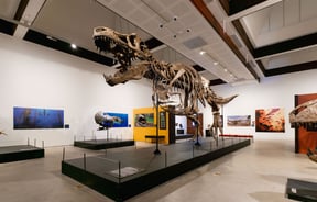 Dinosaur skeleton on display at Canterbury Museum in downtown Christchurch.