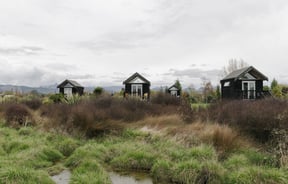 Looking across green and brown tussocks where there are 4 huts.