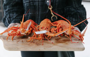 Wooden board with three cooked lobster on top at the FishWife in Moeraki.