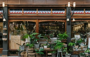 Plants lining the hall of The Tannery outside the plant shop.