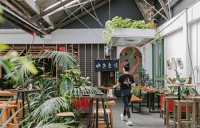 Looking across The Welder courtyard with big Palm plants.