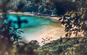 A view of a beach at the Abel Tasman from above.