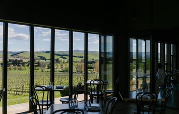 View out of window at Black Estate, North Canterbury towards vines.