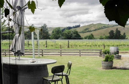 Outdoor dining area looking onto the vineyards at Greystone Wines, North Canterbury.