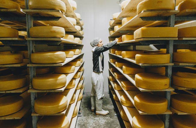 A woman sorting rounds of cheese in the factory at at Barrys Bay Cheese, Akaroa.