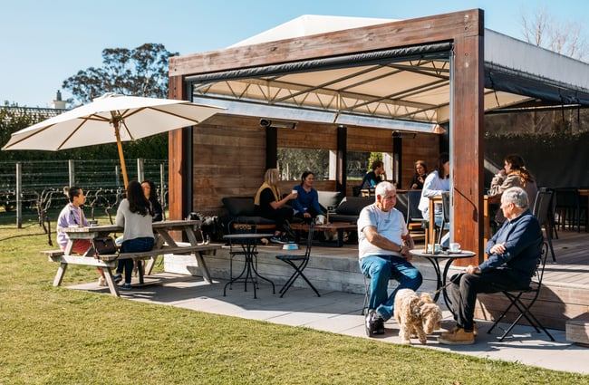 Customers dining in the outside courtyard at Brother in Havelock North.