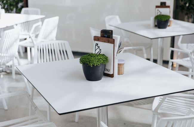 Close up of table with plant and menu at Ilex Café, Christchurch.
