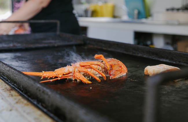 Cooking a crayfish on grill at Kaikōura Seafood Bbq.