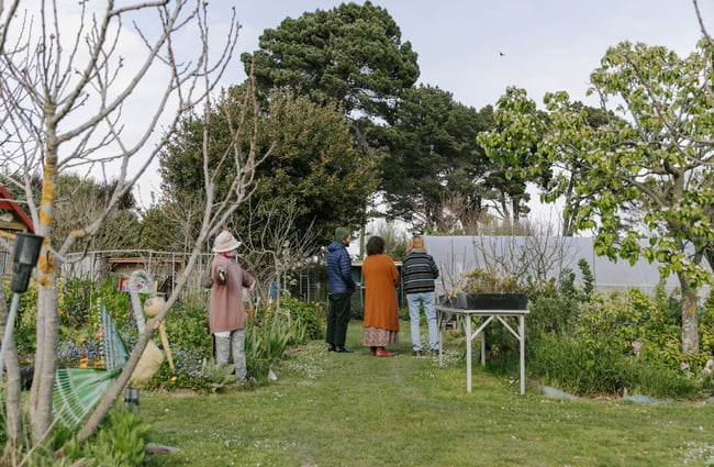 Three people looking around the vegetable gardens.