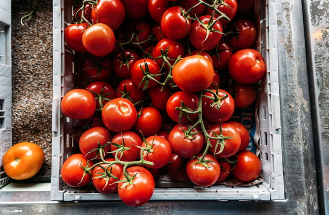 A close up of tomatoes in a box.