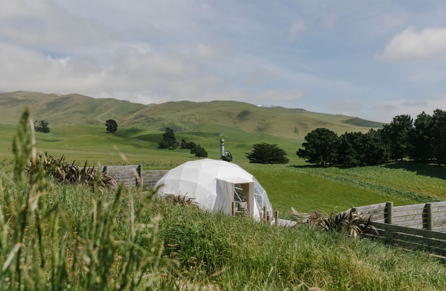 A white Glamping pod on the hills surrounded by trees and shrubs.