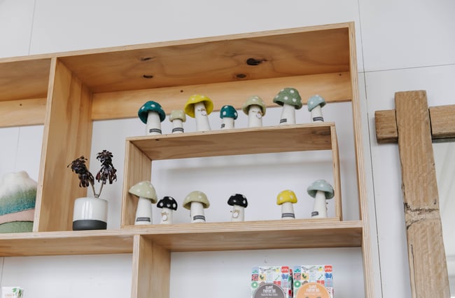 Close up of felt toadstools on a shelf at William Bee in Ōamaru.