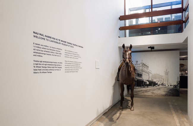 Horse at the entrance to the temporary Canterbury Museum in downtown Christchurch.