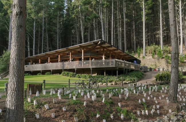 The Adventure Park cafe building in Christchurch with native plantings in front.