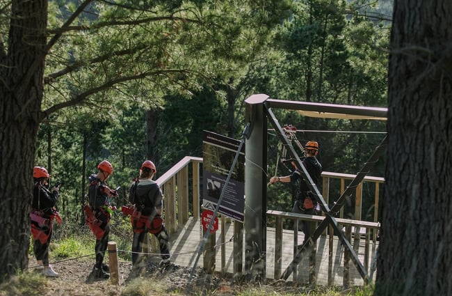 A group of people approaching a zip line platform in the trees at Christchurch Adventure Park.