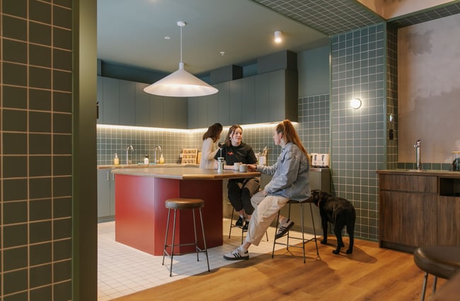 Three women chatting in a green decorated kitchen.