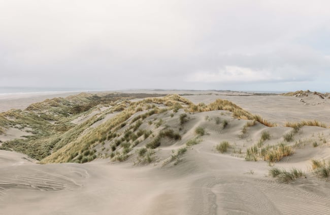 Sandy dunes on the beach at Farewell Spit.