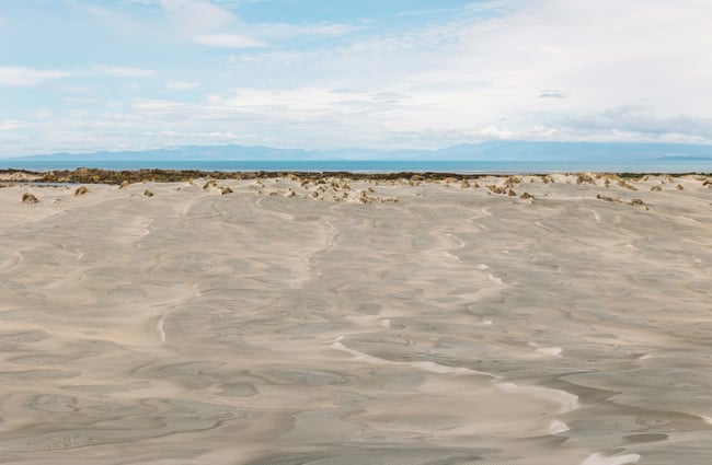 The sandy beach with ocean in the background.