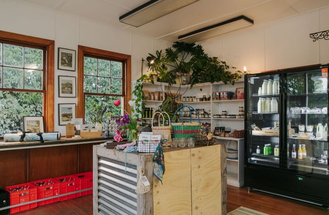 The interior of the Tasteology Nelson gift store.