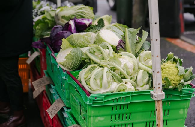 Cauliflowers and cabbage in boxes at The Nelson Market, Nelson.