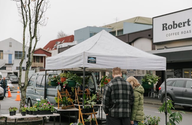 Couple browsing plants for sale at The Nelson Market, Nelson.