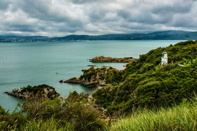 The view of the ocean from the top of a hill at Somes Island in New Zealand.