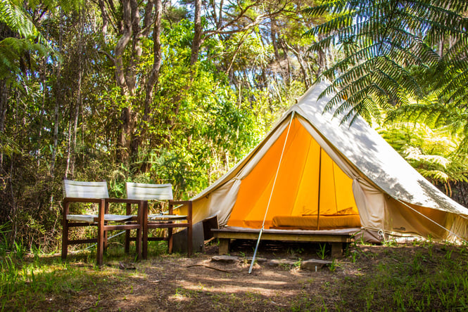 Camping tent set up at Solscape, Raglan.