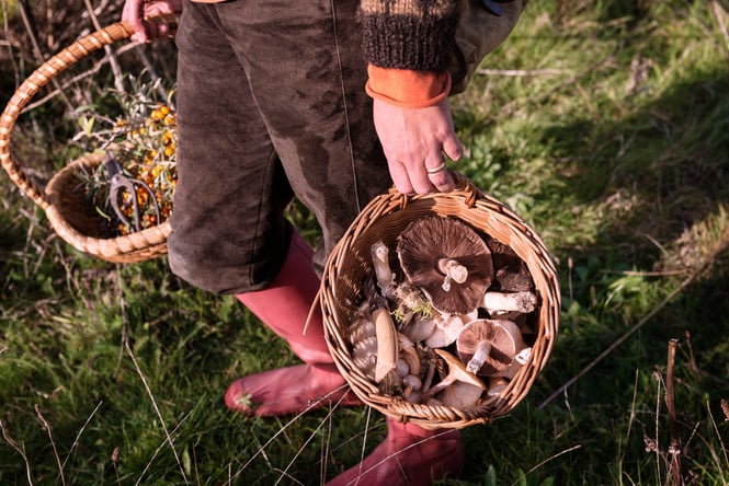 A person holding two baskets of mushrooms.