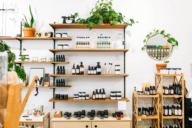 Plants and sustainable cruelty-free skincare on a shelf at Wellington Apothecary in New Zealand