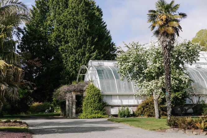 The Christchurch Botanic Gardens on a sunny day.