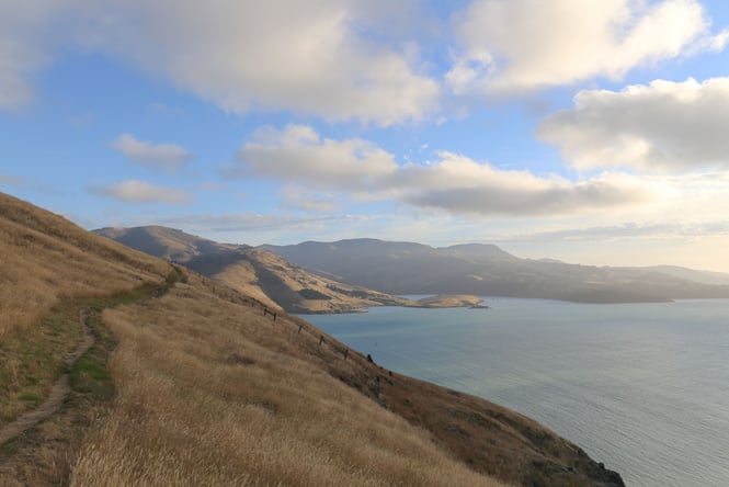 The brown tusk-covered hillside with a walkway overlooking the harbour.