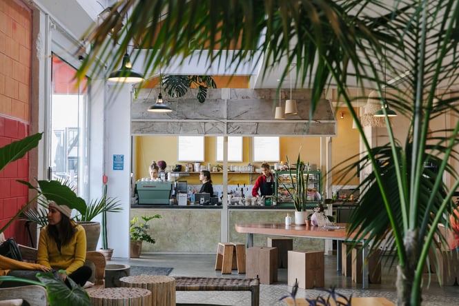 Interior view of Barefoot Eatery with lots of green plants.