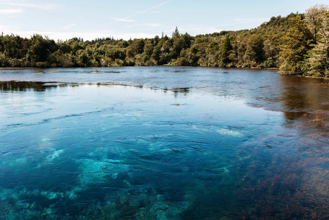 Te Waikoropupū Springs on a sunny day.