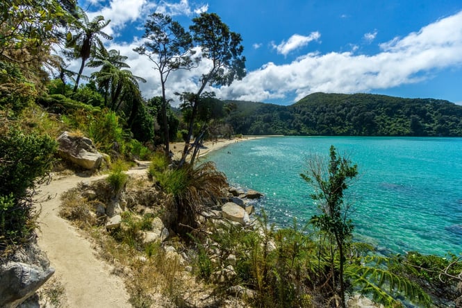 Abel Tasman Coastal Track on a sunny day.