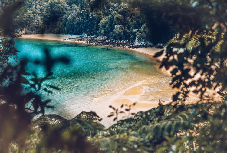 A view of a beach at the Abel Tasman from above.